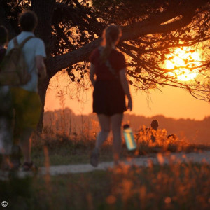 Sommerfahrt Sonnenuntergang